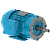 06036EP3E326JP-W22 WEG electric pump motor for sale online